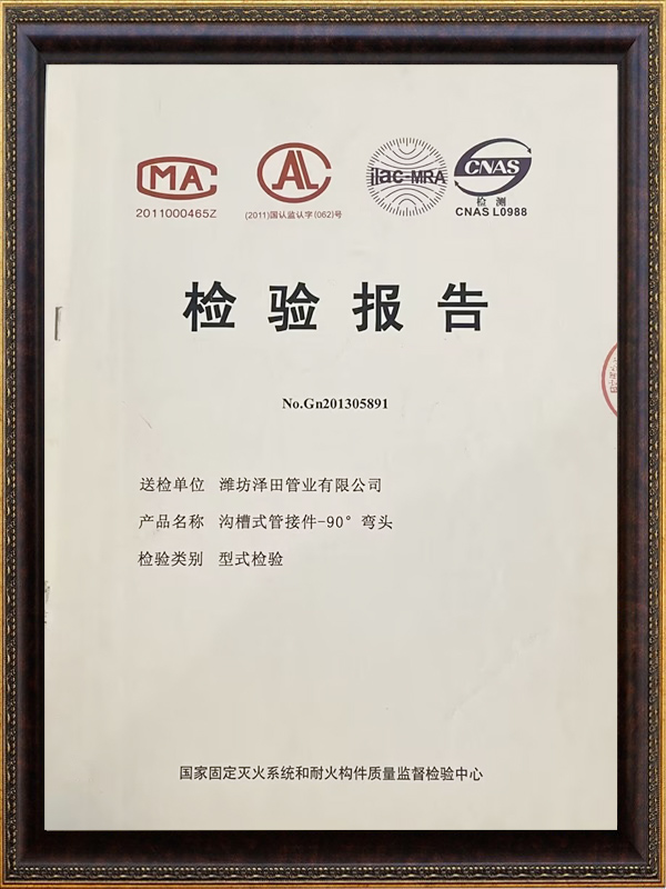 檢驗報告 (2)