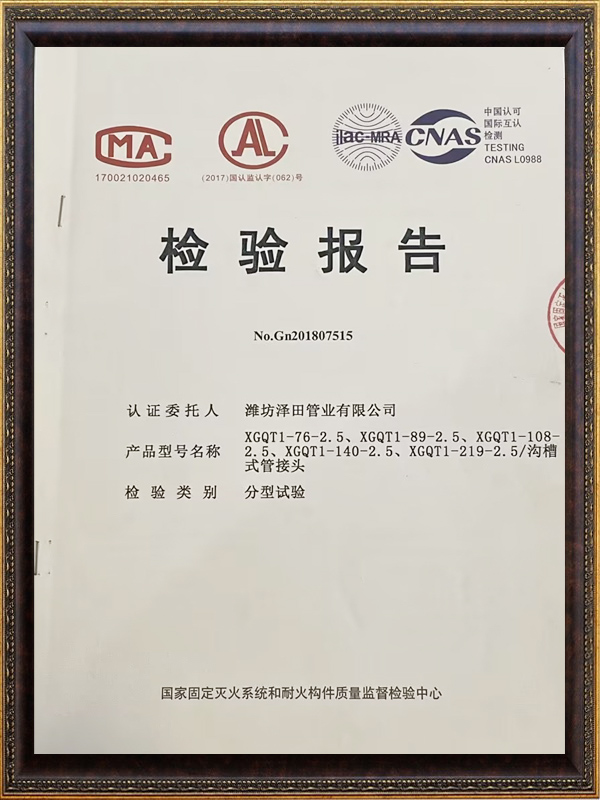 檢驗報告 (3)